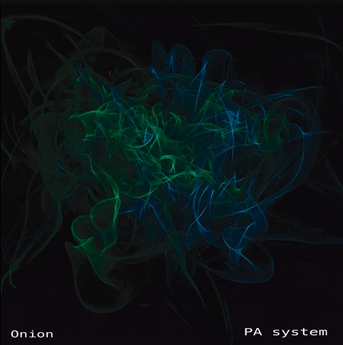 Onion - P.A System